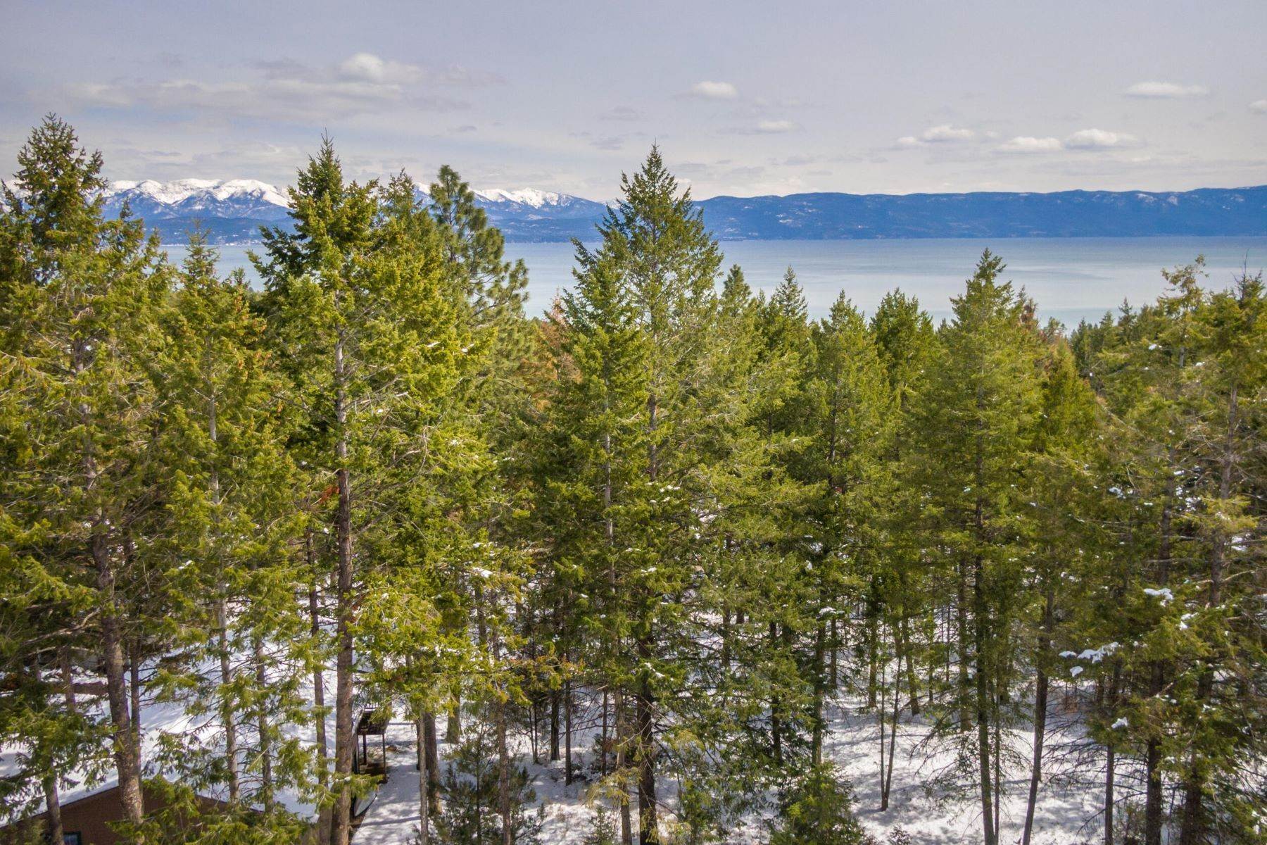 9. Land for Sale at 101 Timberlane Terrace, Lakeside, Montana 59922 United States