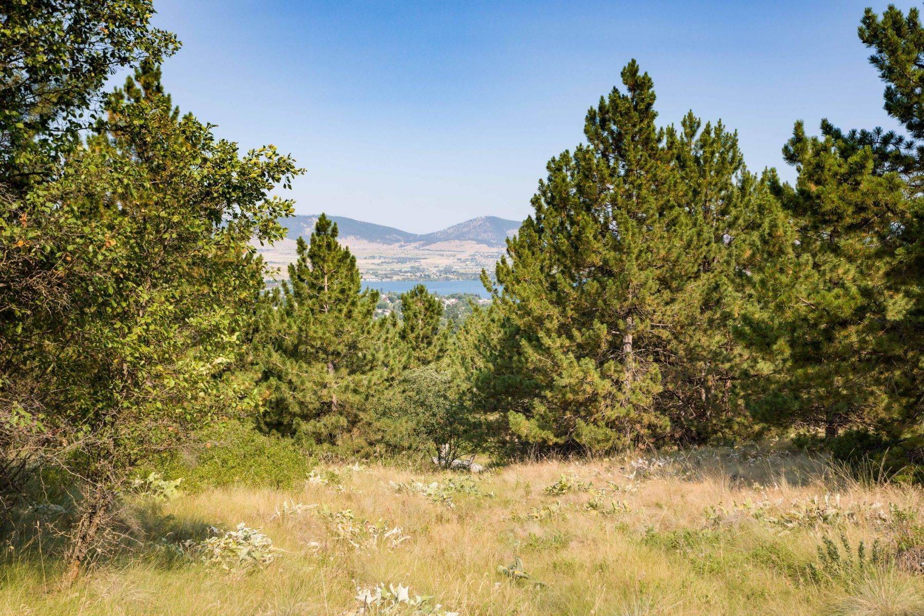 4. Land for Sale at Lot 5 Claffey Drive Polson, Montana 59860 United States