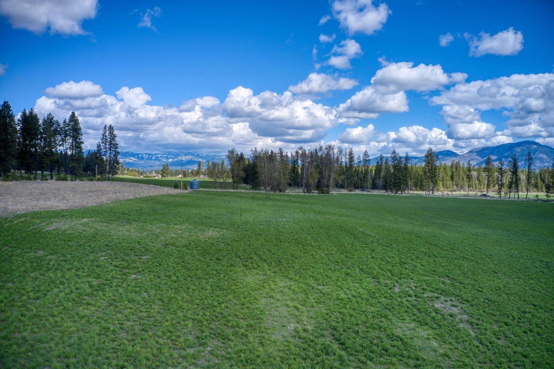 21. Land for Sale at Lot 1 Middle Road Columbia Falls, Montana 59912 United States