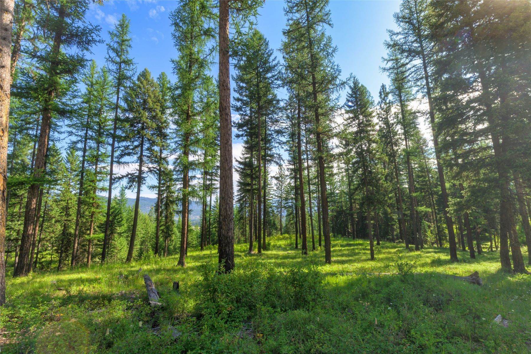 35. Land for Sale at TRACT A, B, C. D Cold Creek Road, St. Regis, Montana 59866 United States
