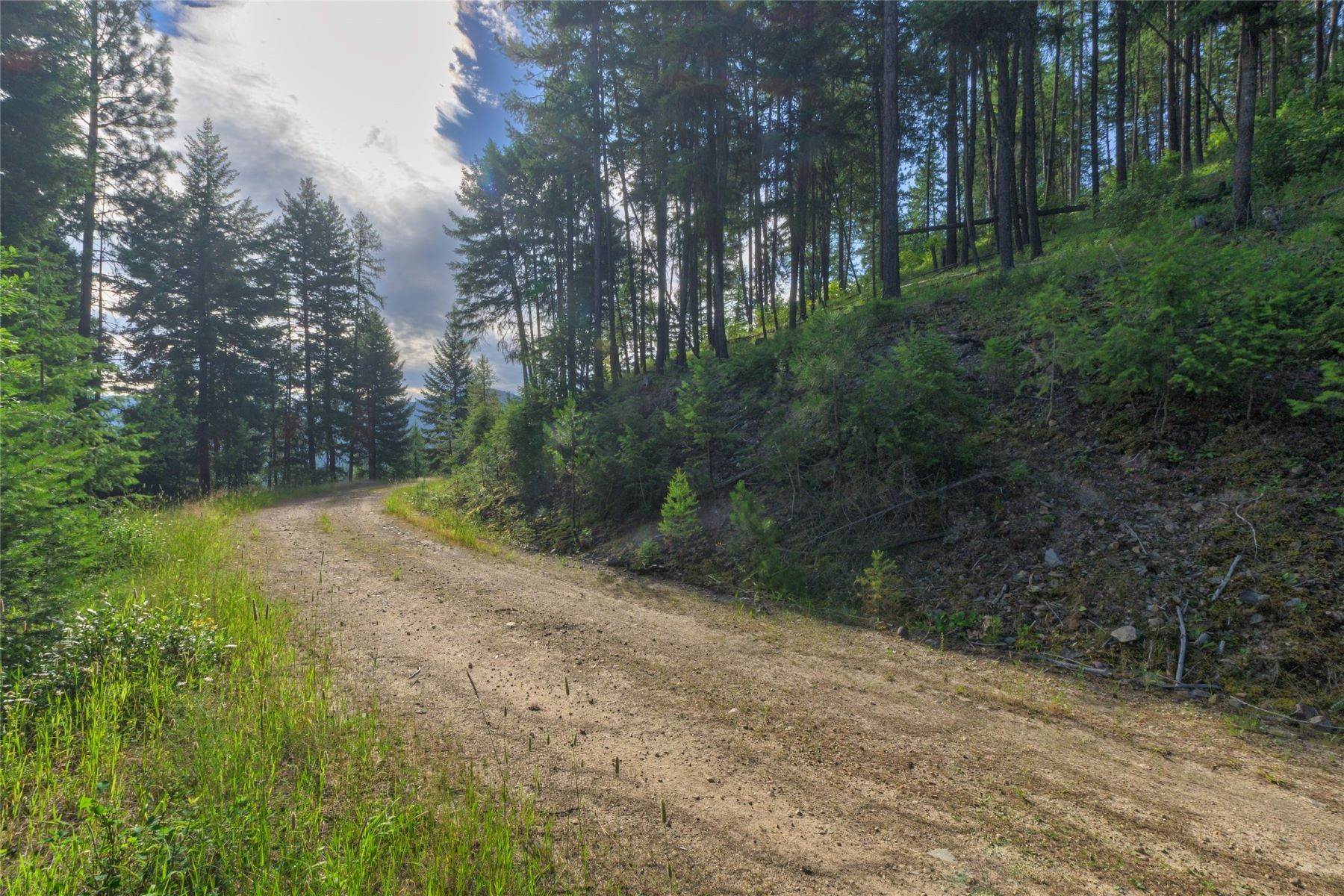 49. Land for Sale at TRACT A, B, C. D Cold Creek Road, St. Regis, Montana 59866 United States