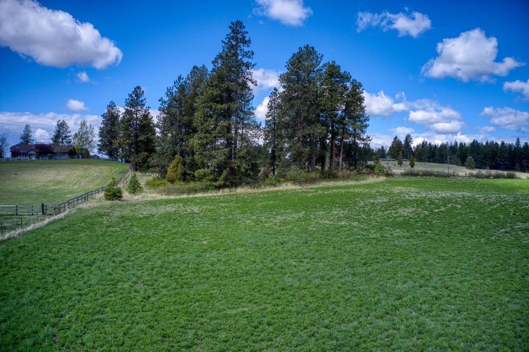 16. Land for Sale at Lot 7 Middle Road Columbia Falls, Montana 59912 United States