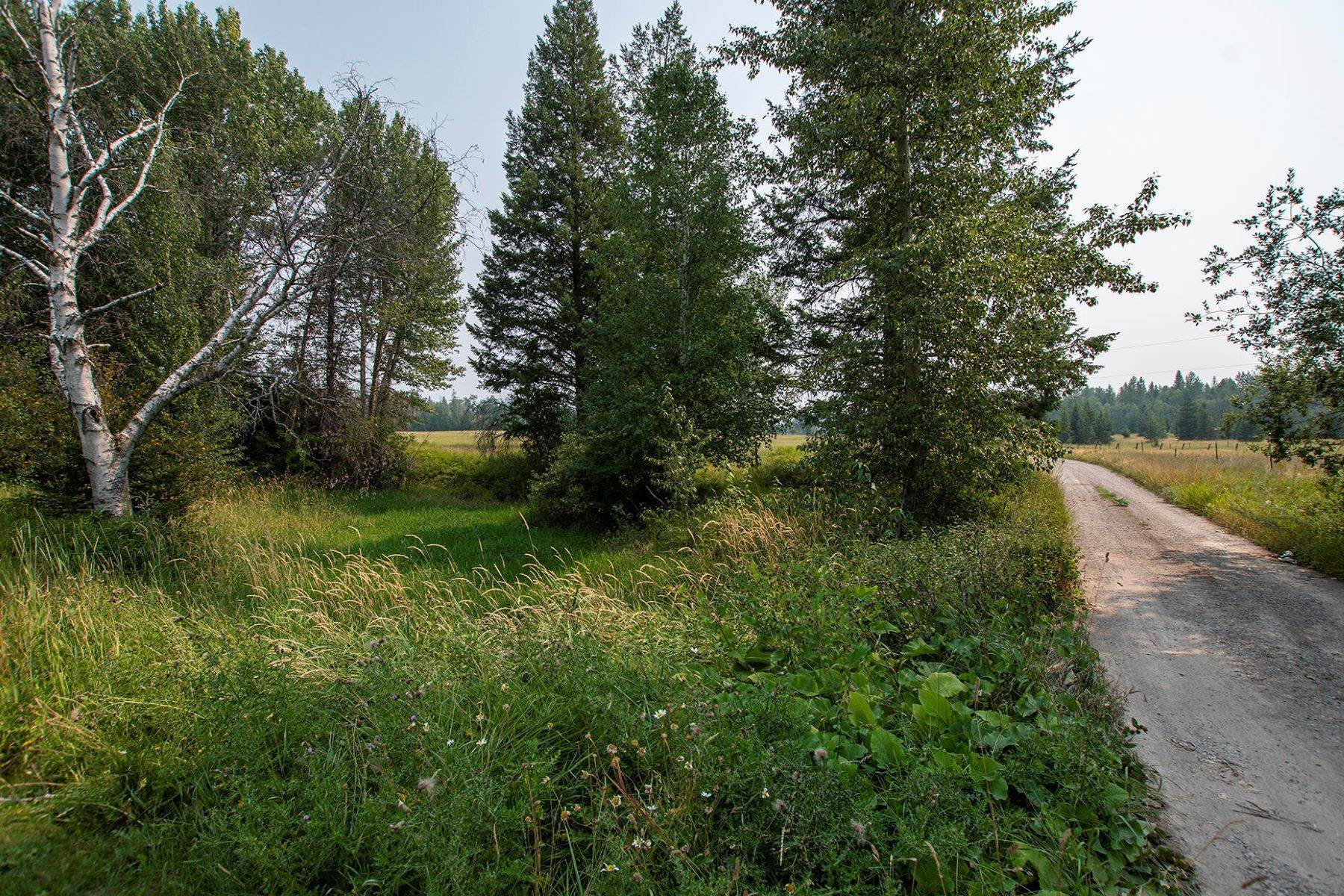16. Land for Sale at 2250 Witty Lane Columbia Falls, Montana 59912 United States