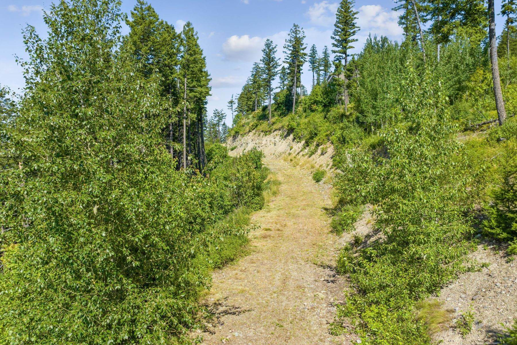 10. Land for Sale at 158 Elk Highlands Drive, Whitefish, Montana 59937 United States