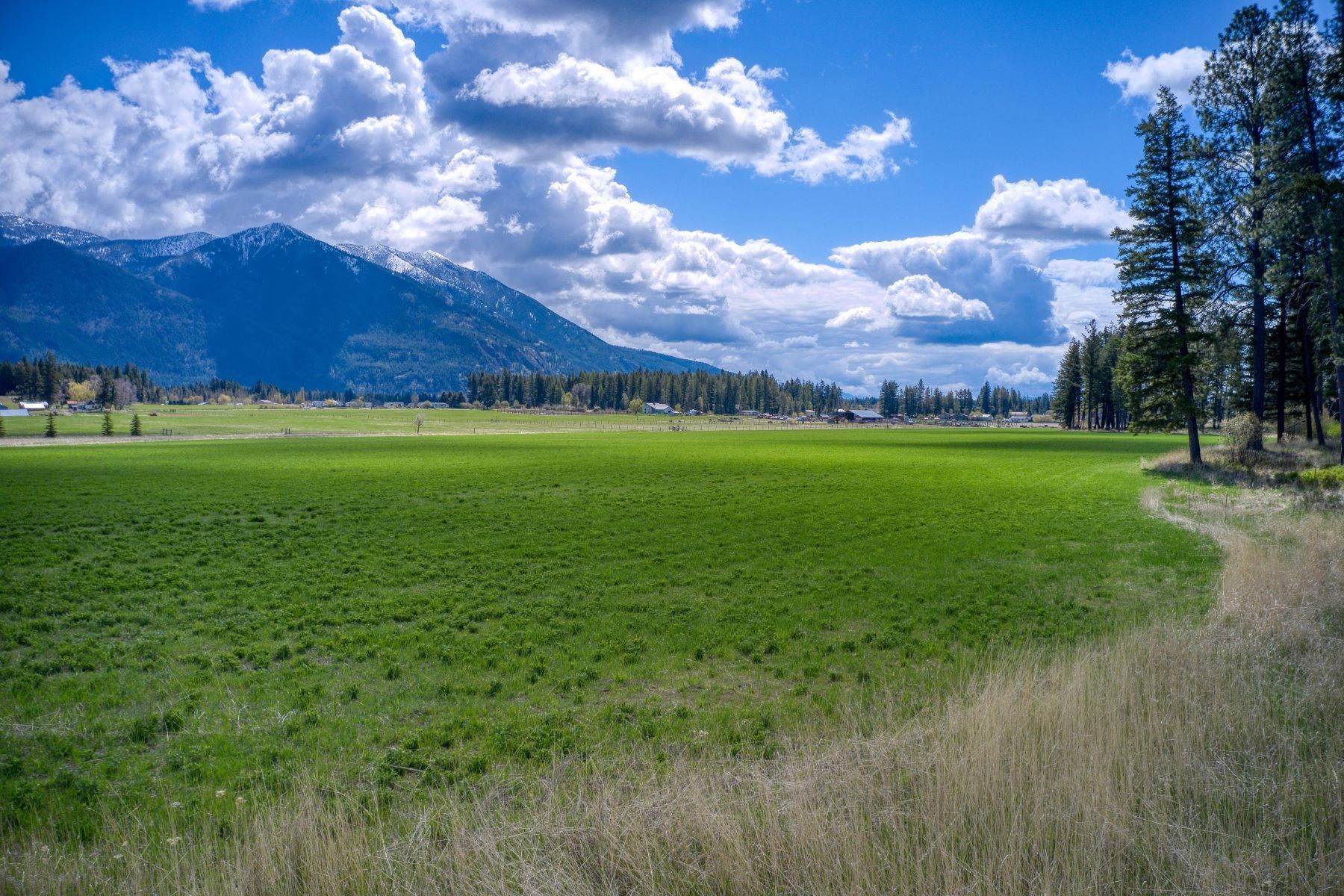 25. Land for Sale at Lot 8 Middle Road Columbia Falls, Montana 59912 United States