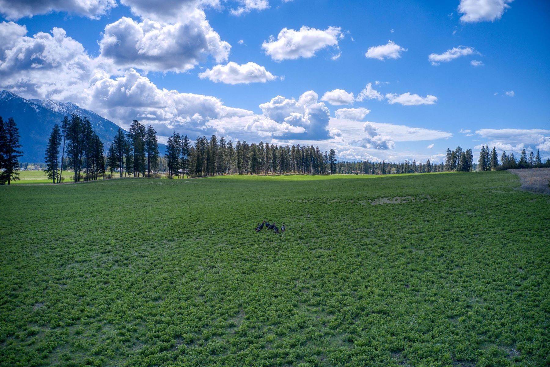 23. Land for Sale at Lot 2 Middle Road Columbia Falls, Montana 59912 United States