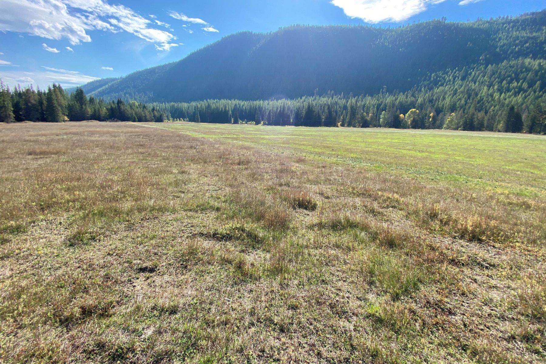 2. Land for Sale at 20a Pine Creek Road, Troy, Montana 59935 United States