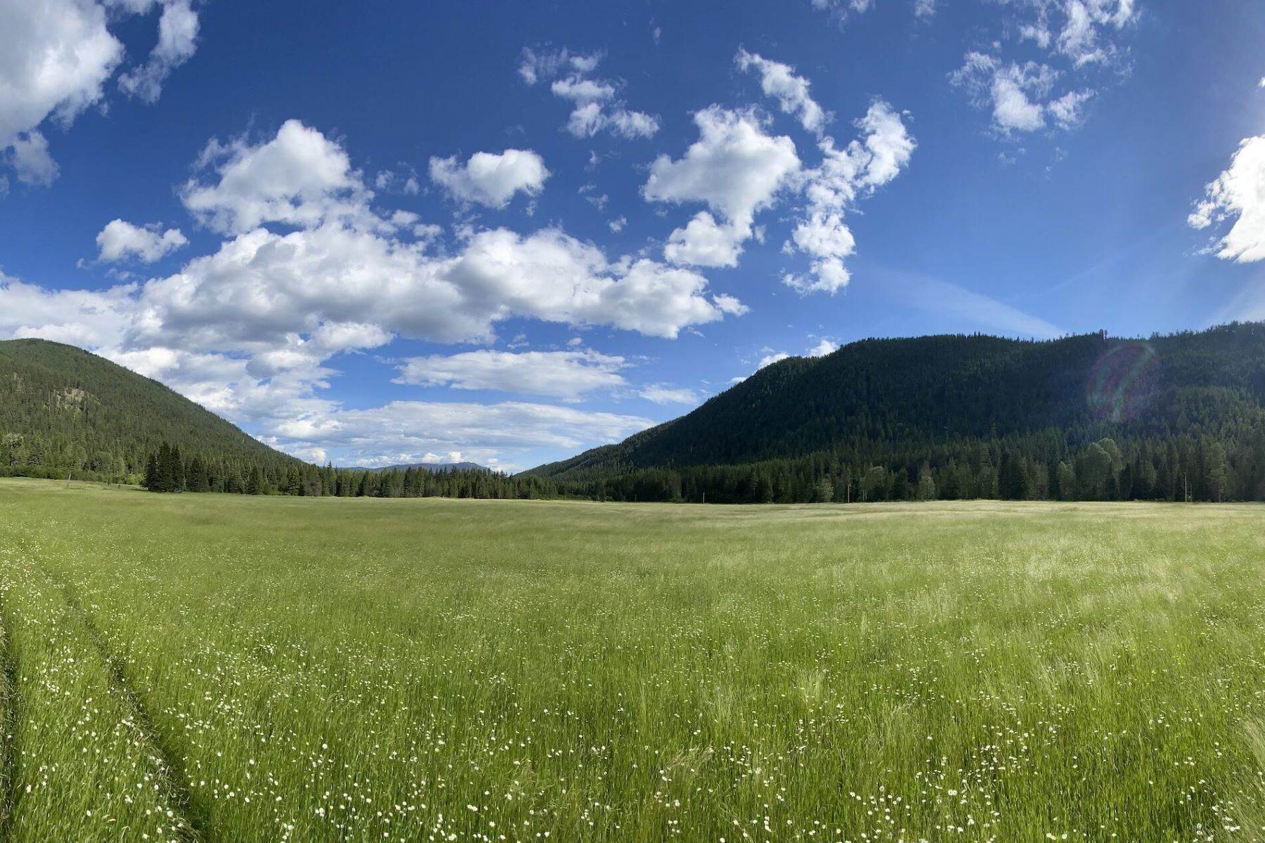 18. Land for Sale at 20a Pine Creek Road, Troy, Montana 59935 United States