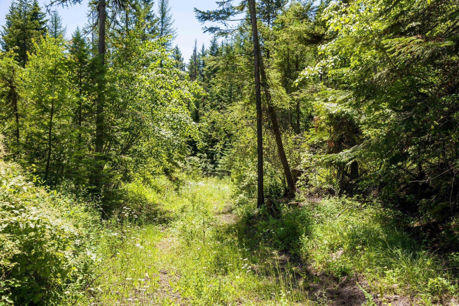 13. Land for Sale at Nhn Blacktail Heights Road, Lakeside, Montana 59922 United States