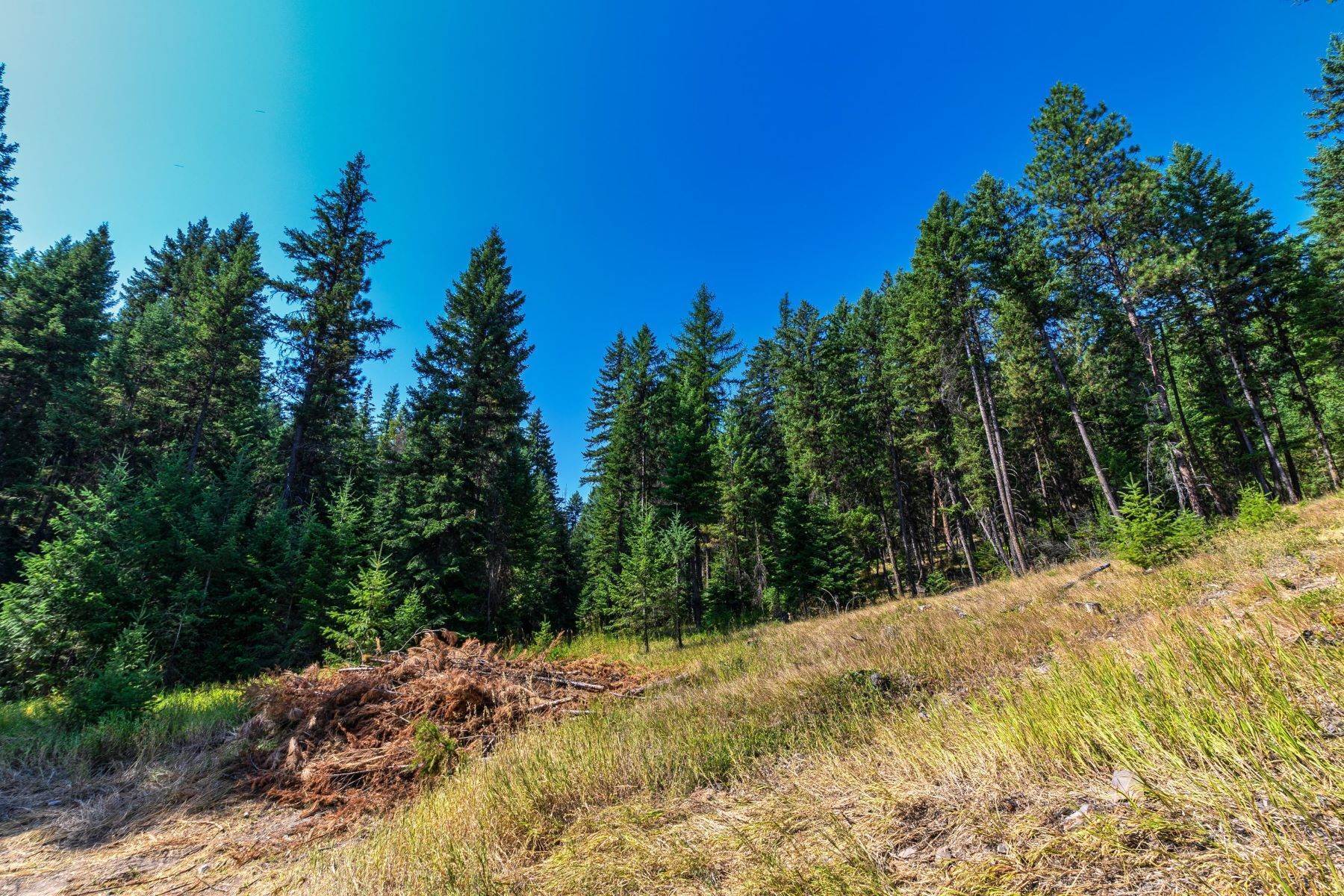 8. Land for Sale at Mountaintop Homesite 396 High Country Road Plains, Montana 59859 United States