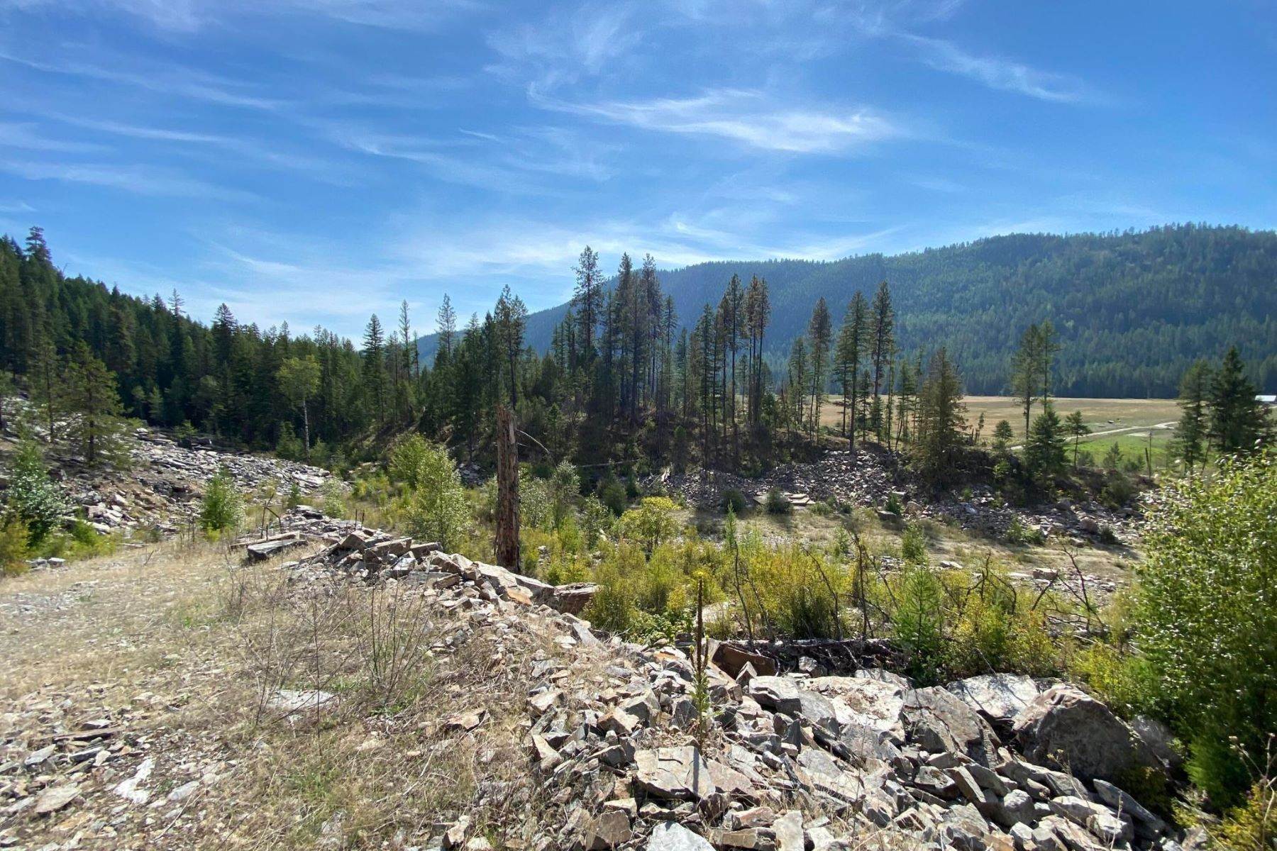 5. Land for Sale at 2918 Pine Creek Road L1, Troy, Montana 59935 United States
