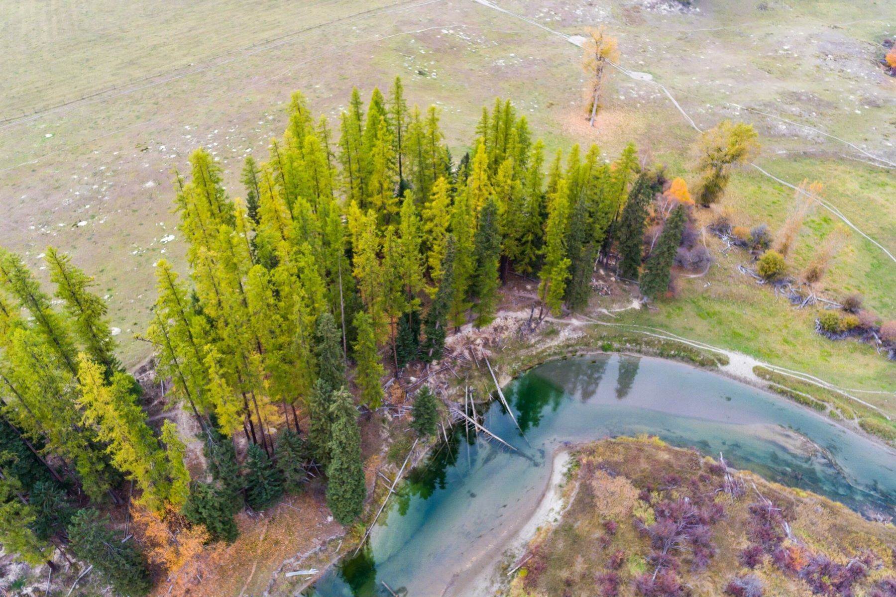 3. Land for Sale at 7925 Farm To Market Road Whitefish, Montana 59937 United States