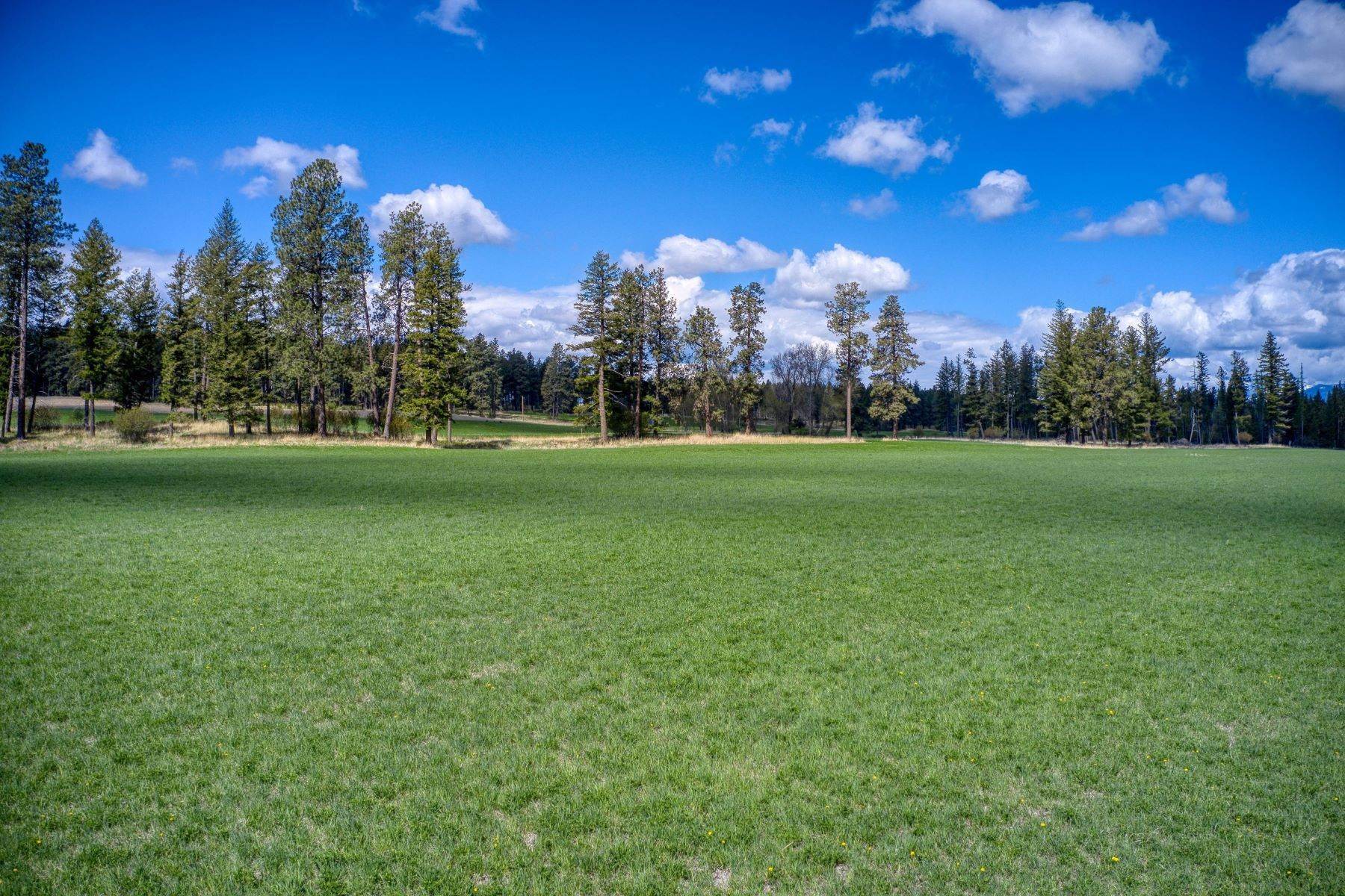 33. Land for Sale at Lot 5 Middle Road Columbia Falls, Montana 59912 United States