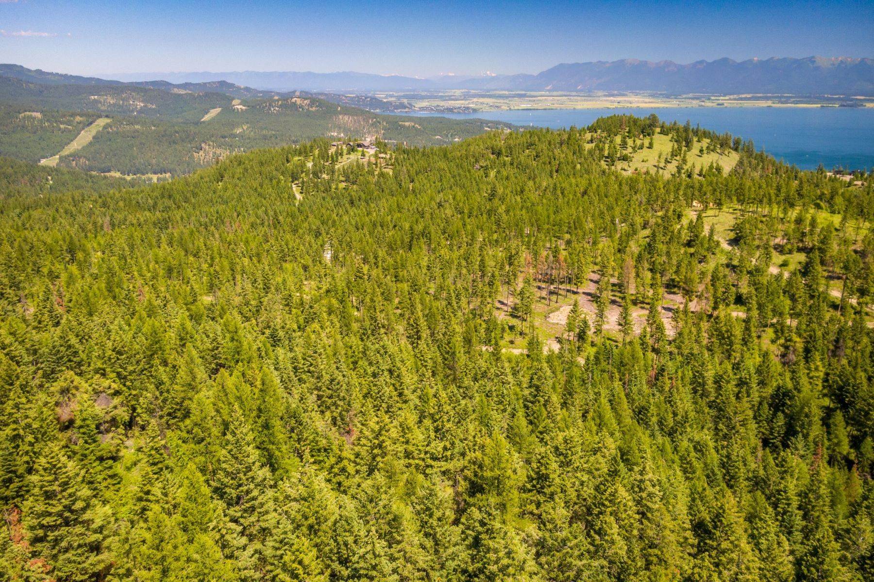 9. Land for Sale at Nhn Blacktail Heights Road, Lakeside, Montana 59922 United States