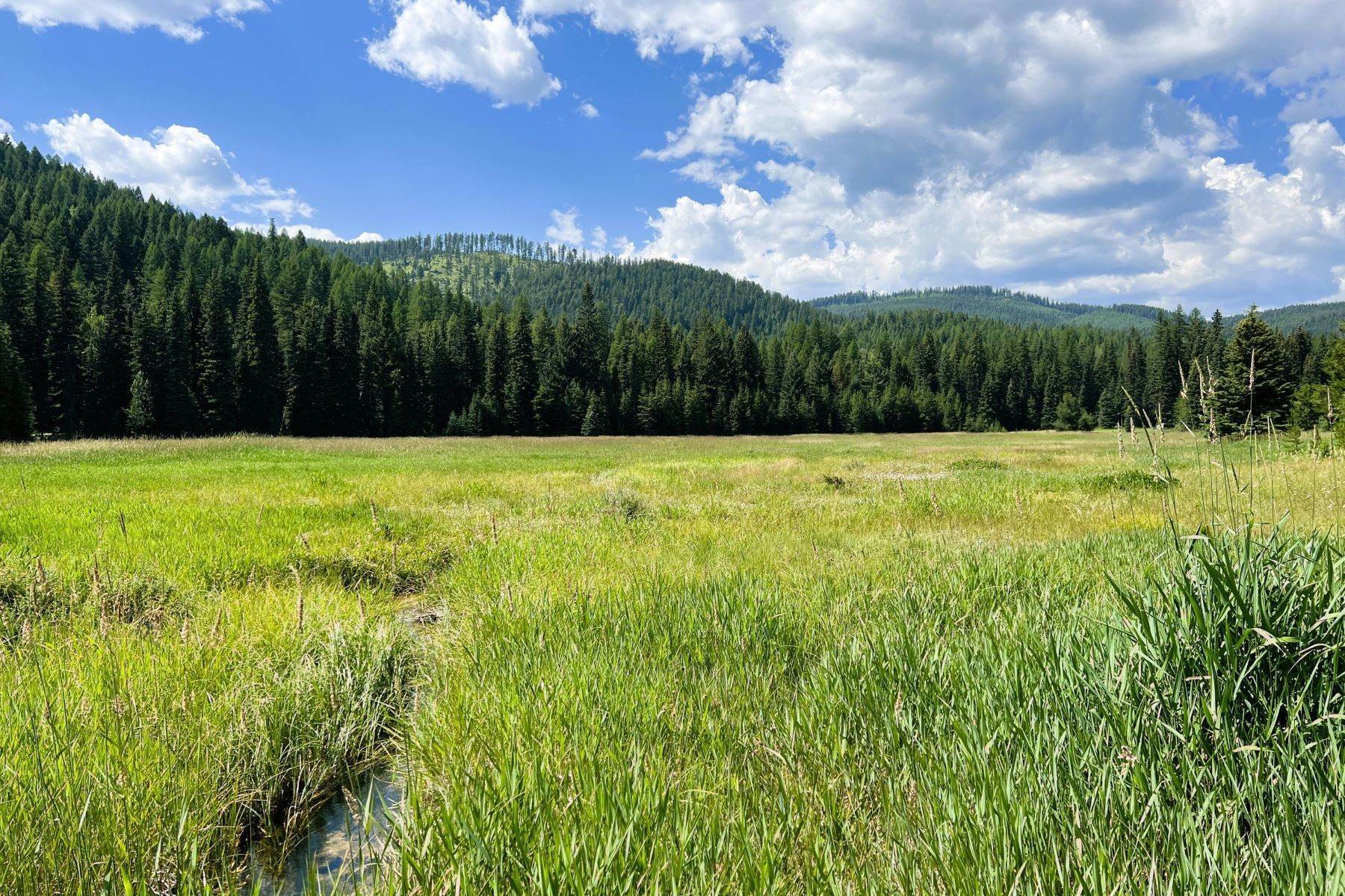 6. Land for Sale at 0 Mountain Meadow Road, Kalispell, Montana 59901 United States
