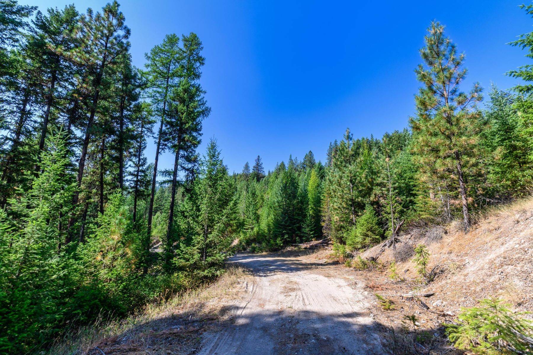 12. Land for Sale at Mountaintop Homesite 396 High Country Road Plains, Montana 59859 United States