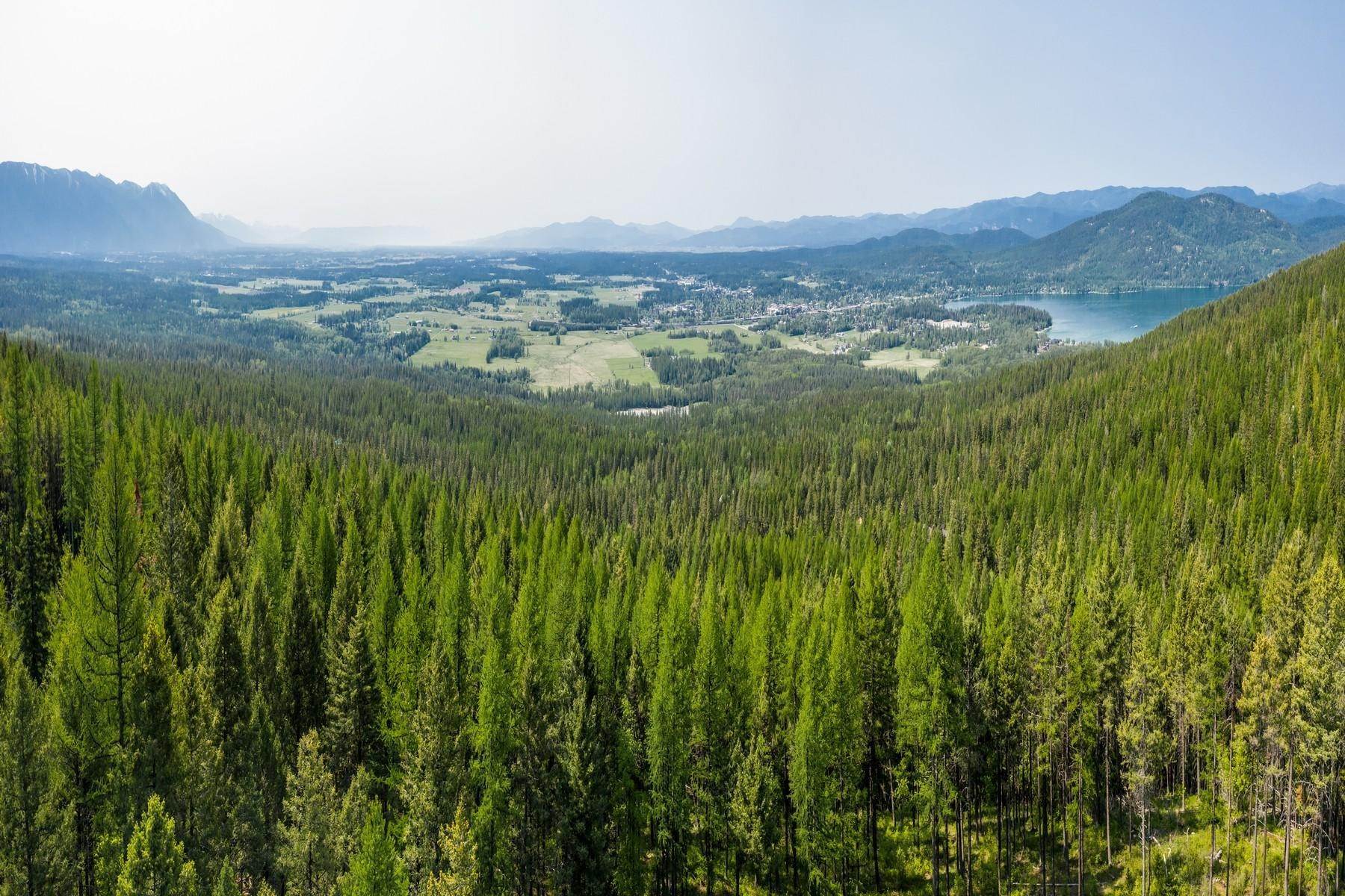 20. Land for Sale at Private 34 Acres with views over Whitefish Private 34 Acres with views over Whitefish, Whitefish, Montana 59937 United States