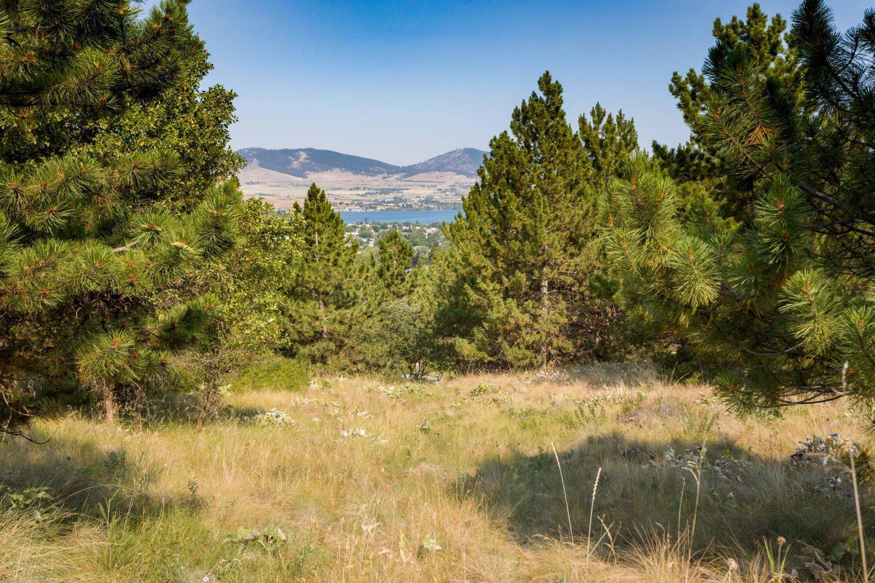 10. Land for Sale at Lot 5 Claffey Drive Polson, Montana 59860 United States