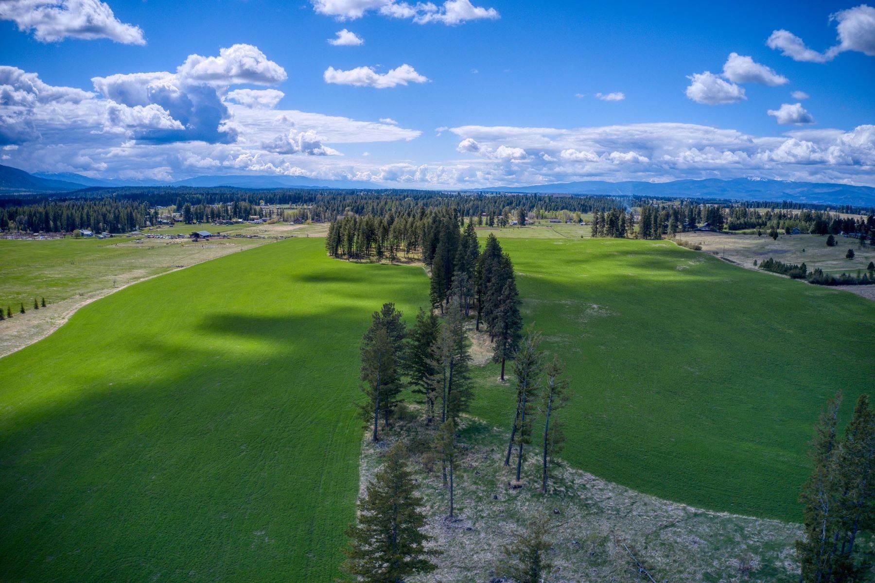 24. Land for Sale at Lot 8 Middle Road Columbia Falls, Montana 59912 United States