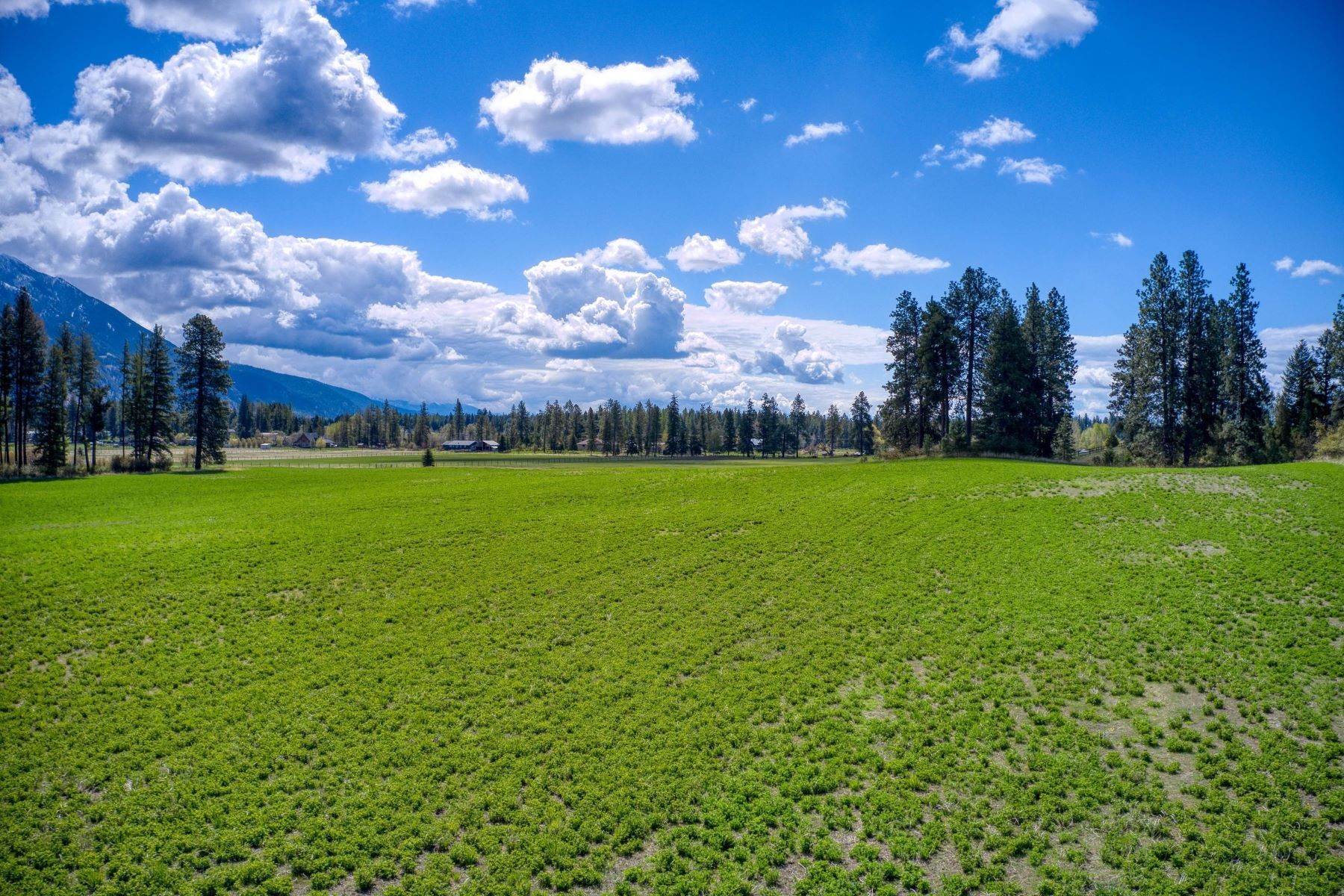 20. Land for Sale at Lot 8 Middle Road Columbia Falls, Montana 59912 United States
