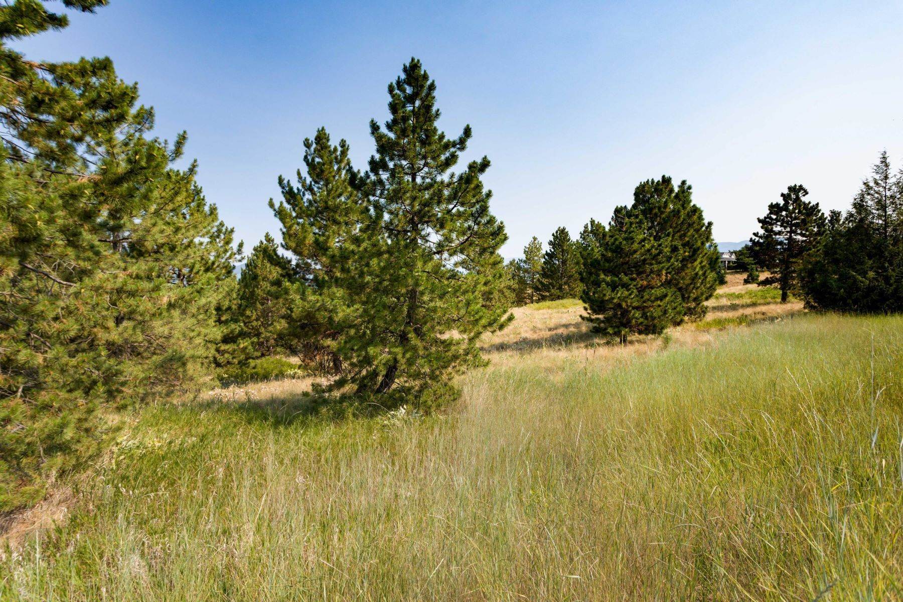 8. Land for Sale at Lot 5 Claffey Drive, Polson, Montana 59860 United States