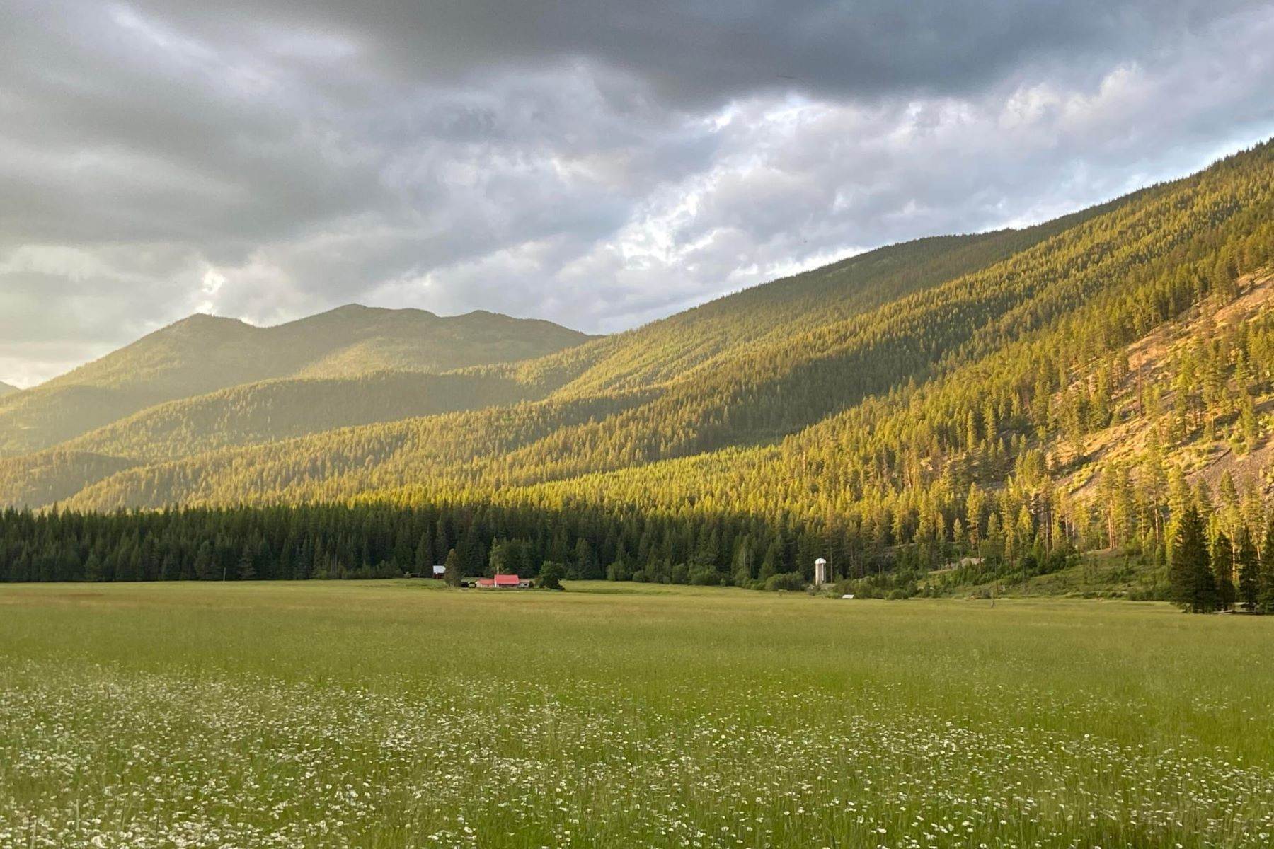 10. Land for Sale at 2918 Pine Creek Road L2, Troy, Montana 59935 United States