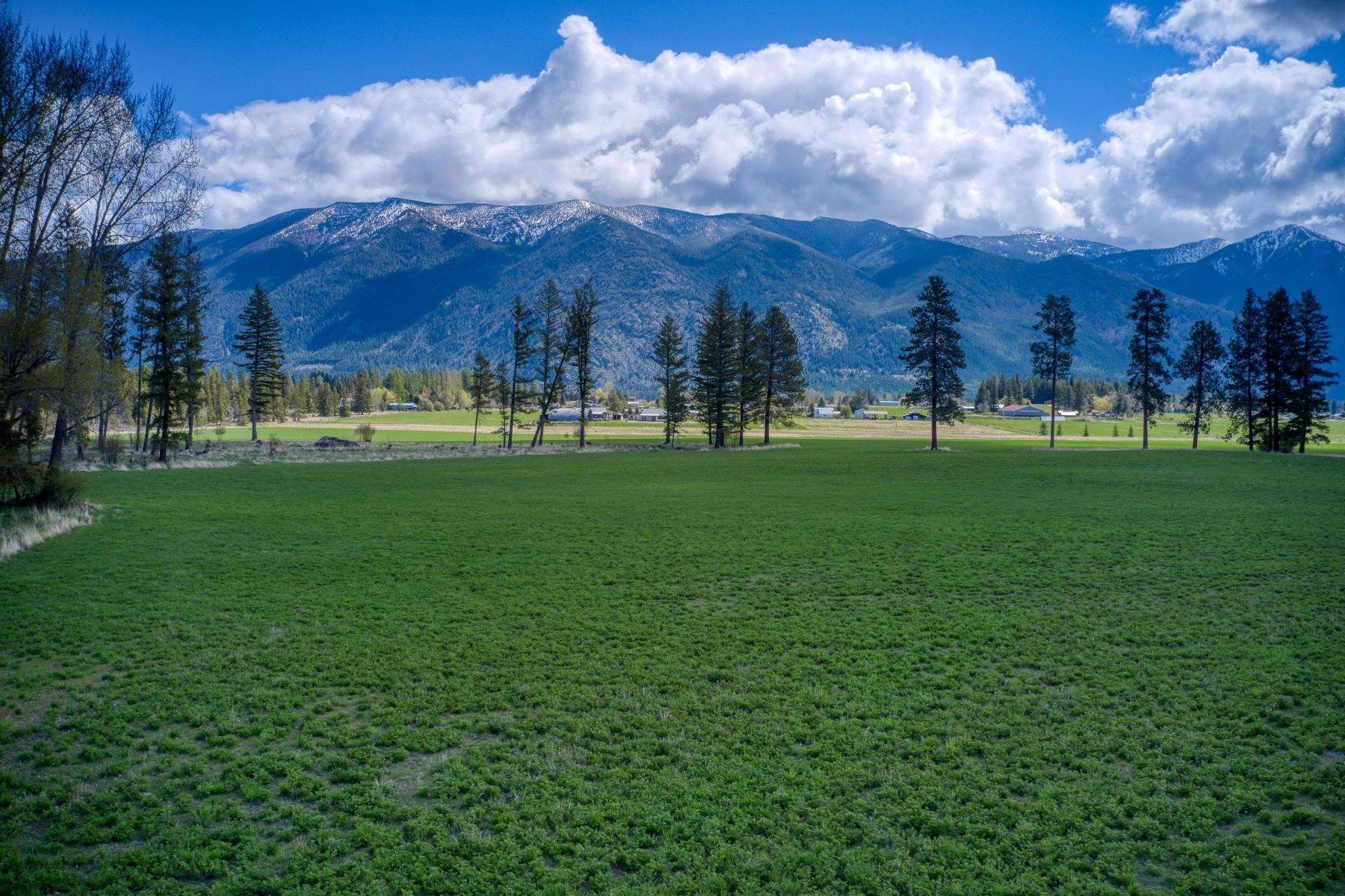 11. Land for Sale at Lot 7 Middle Road Columbia Falls, Montana 59912 United States