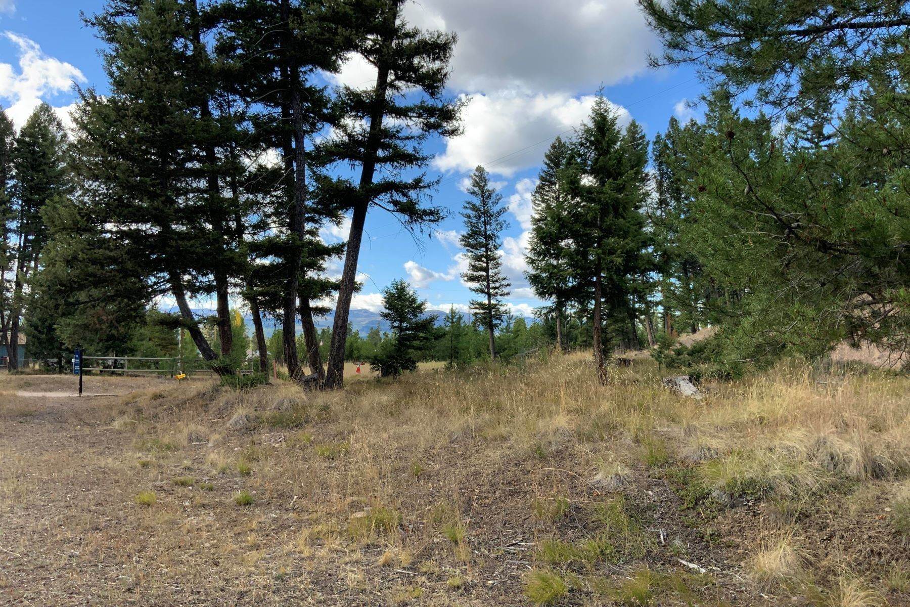 16. Land for Sale at 124 Sequoia Court, Seeley Lake, Montana 59868 United States
